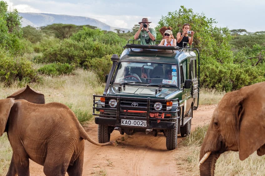 Touristes en safari