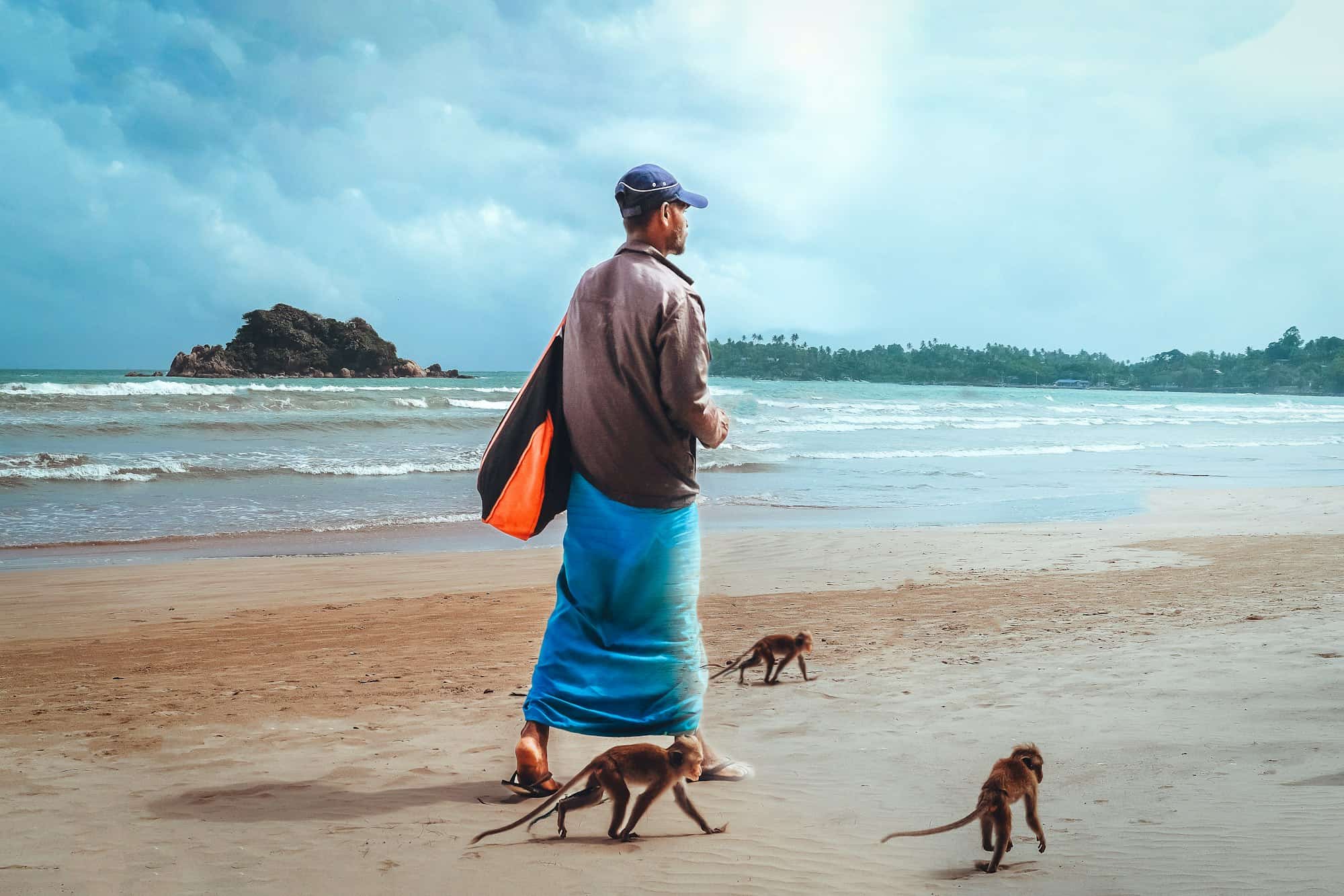 Safari dans la jungle avec les animaux sauvages, les singes, le tourisme tropical et la vie sauvage.