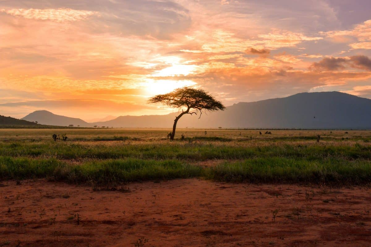 Voyage au Kenya : safaris, séjours et vacances pas chers